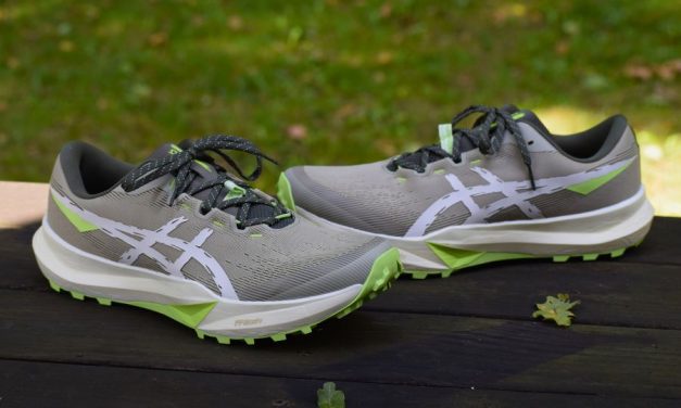 Avis détaillé des Asics Fuji Lite 6